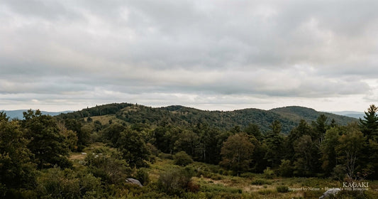 A soft ridge under low cloud in late afternoon light — the American landscape that holds the country's strongest meditation retreats.