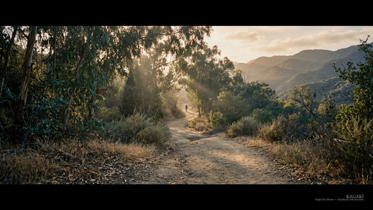 A quiet Los Angeles canyon trail in late-afternoon light, shown as a cinematic opening image for a personal guide to meditation places in the city.