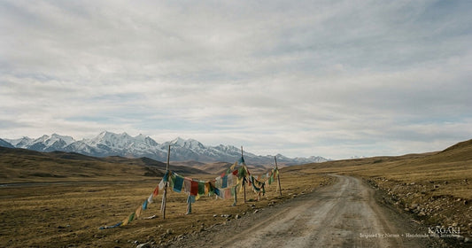 Highland road approaching Himalayan peaks under thin cold light — Tibet as the body discovers it, not as a postcard.